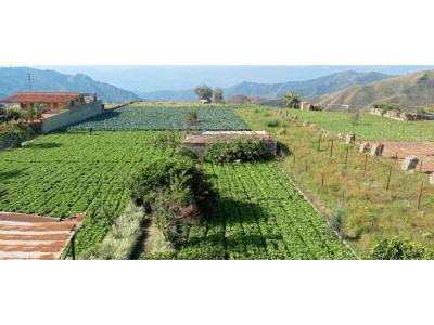 Lote de Terreno para operaciones de carácter agrícola., 25365 mt2