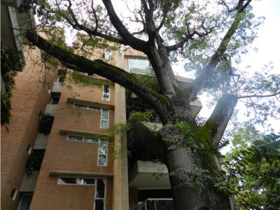 Apartamento 292m2 recién remodelado en Campo Alegre 3H+S/ 4B+S/ 4P, 292 mt2, 4 habitaciones