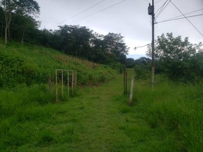 FINCA EN VENTA EN LA LAGUNITA, EDO. CARABOBO, 250 mt2