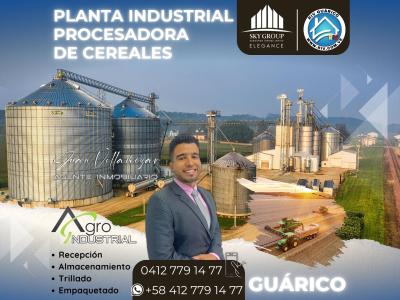 PLANTA PROCESADORA DE CEREALES EN VENTA, ESTADO GUARICO, 30000 mt2