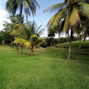 Bella Granja  con un área de 5719 mts2 con 4 Cabañas independientes ubicada en Colinas del Manzano , 400 mt2, 7 habitaciones