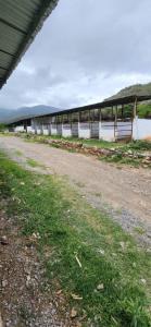 Finca con Galpón y Quebrada de 249 Hectareas