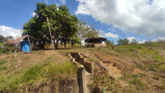 Finca Agropecuaria de 8.5 Hectáreas en Nirgua Yaracuy , 2 habitaciones