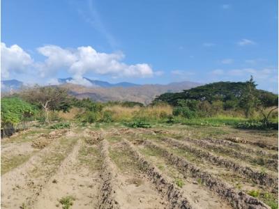 Terreno de 53.000 M2 en Yagua Sector el Limón Vía, 32767 mt2