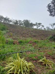 Terreno en el Sector Sabaneta Sur, Miranda. PLT-247