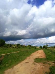 Finca ubicada en San Carlos, Cojedes. PLT-181