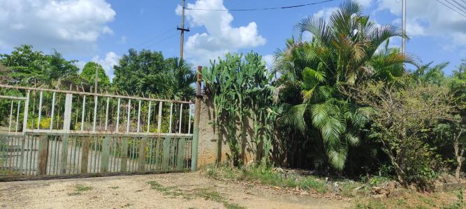 TERRENO EN TAGUANES (DES)