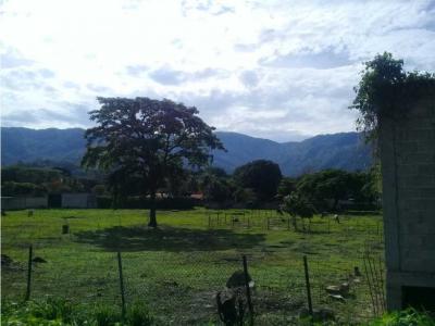 Terreno en Vía principal de Paya, Turmero Edo Aragua., 1005 mt2
