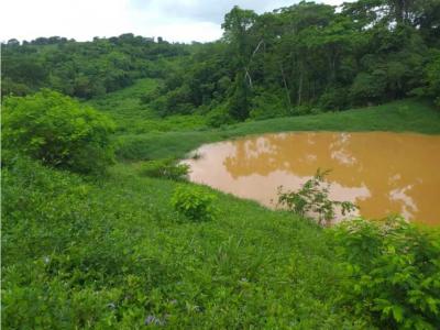 Venta Finca 12 hectáreas, , sector el Caiman, Yaracal