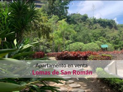 Apartamento en venta en Lomas de San Román municipio Baruta, 200 mt2, 3 habitaciones