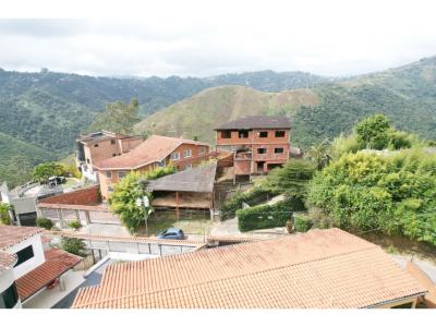 BAJO DE PRECIO Casa en Venta 600m2 7h|4b|5p Los Robles 1726, 600 mt2, 7 habitaciones