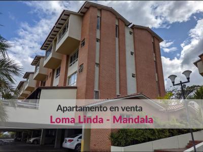 Apartamento en venta  en Loma Linda remodelado con bella vista, 148 mt2, 3 habitaciones