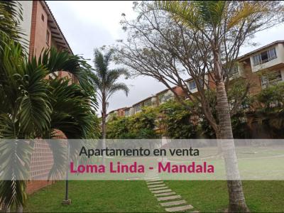 Apartamento con amplia terraza en venta en Loma Linda Mandala, 163 mt2, 3 habitaciones