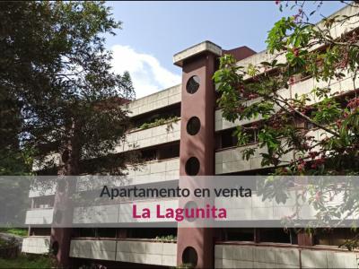 Moderno y actualizado apartamento en venta en La Lagunita , 280 mt2, 3 habitaciones